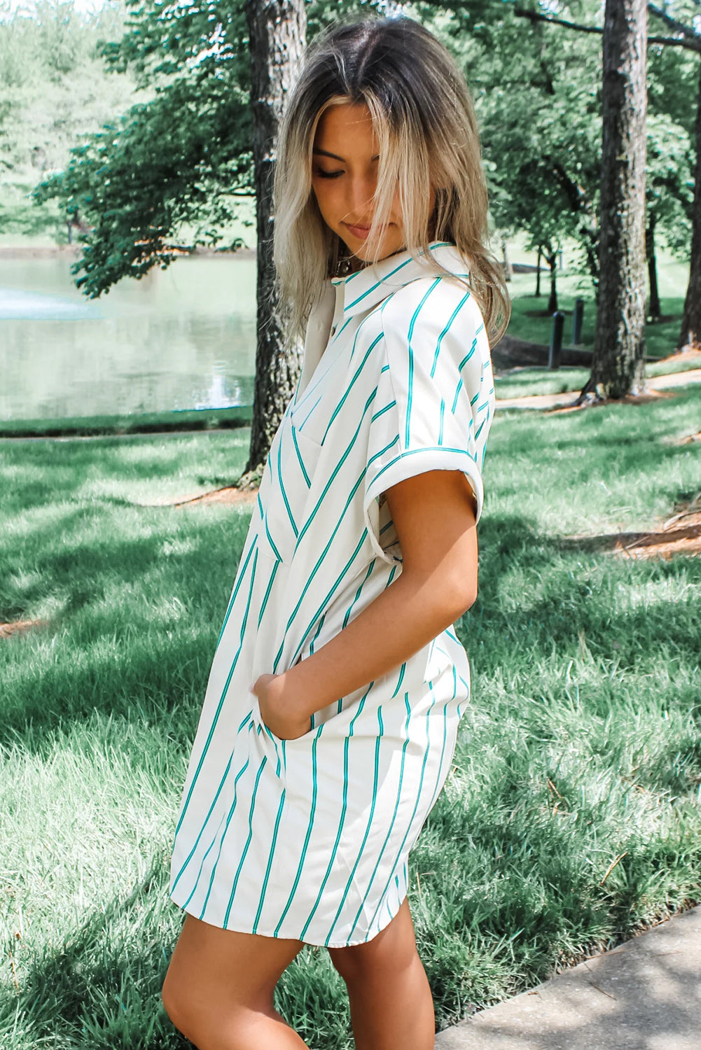 Cypress & Champagne Shirt Dress