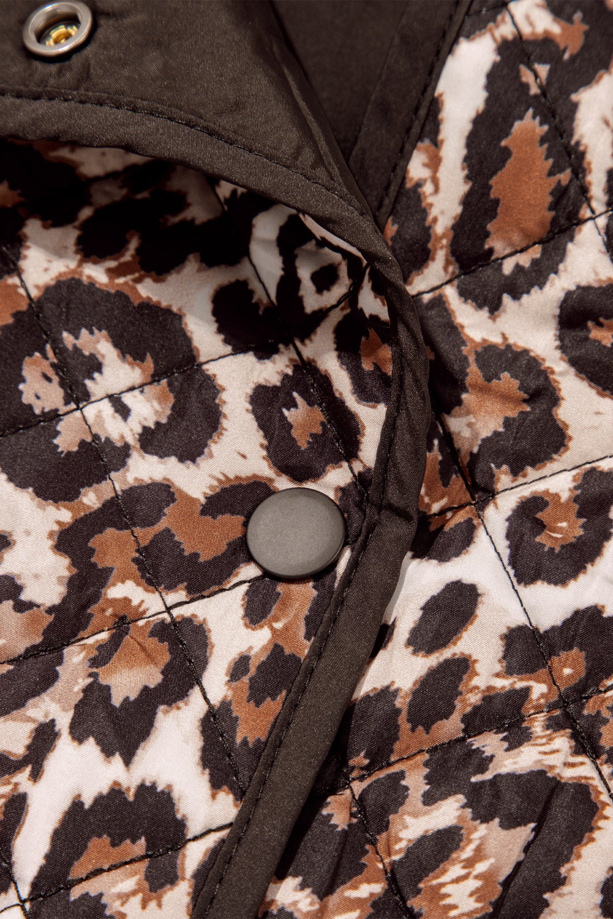 The Pretty Little Leopard Jacket