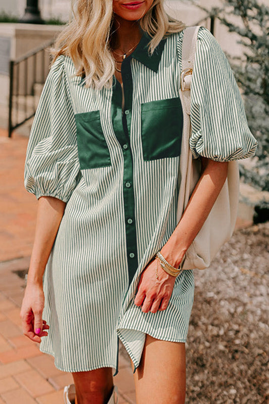 The Greenbrier Grace Shirt Dress